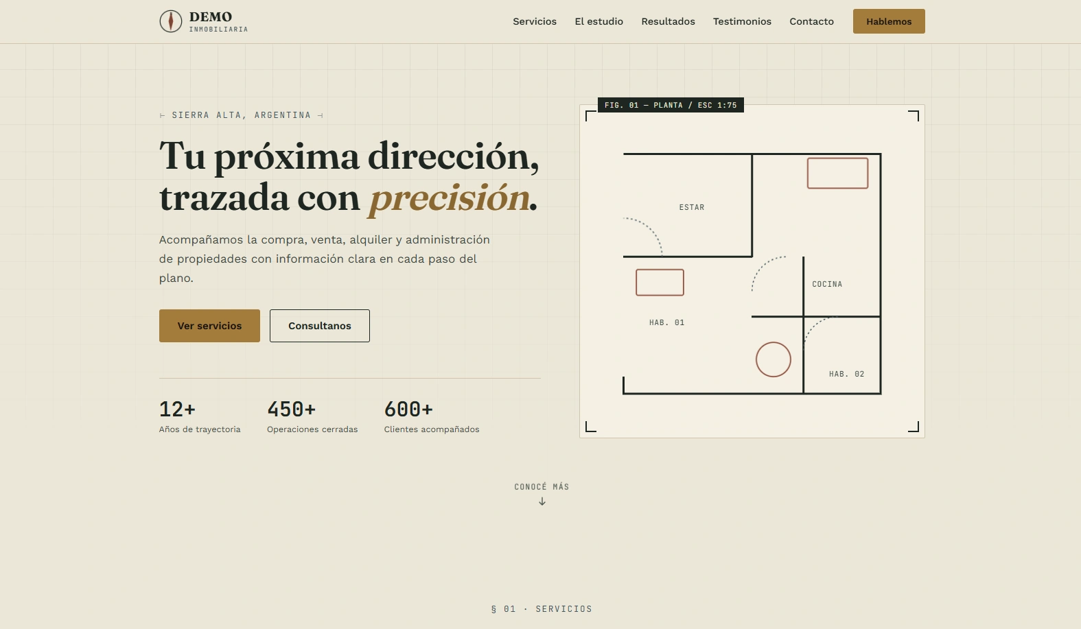 Preview de web para inmobiliaria